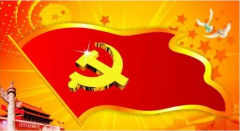 黨建質(zhì)量如何提升？這四個(gè)環(huán)節(jié)很重要